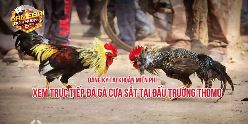 Hướng dẫn đăng ký để xem đá gà cựa dao miễn phí và cá cược liền tay